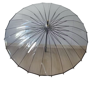 Clear Umbrella