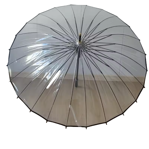 Clear Umbrella