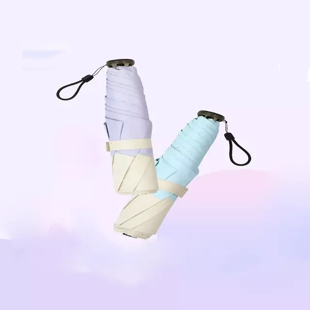 Can You Take a Parasol on a Plane?