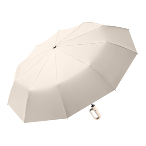 Automatic Umbrella