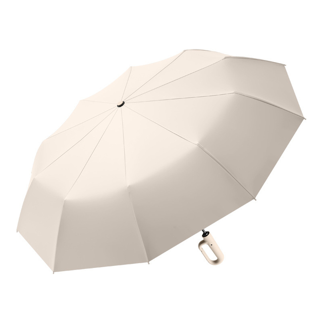 Automatic Umbrella