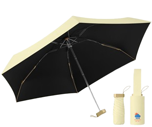 Mini Umbrella