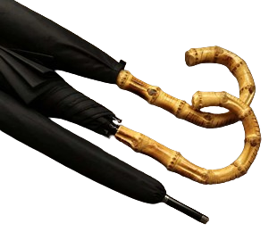 Bamboo Handle Umbrella