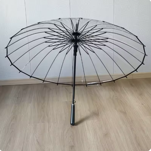 Clear Umbrella