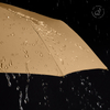 Elegant Classic Umbrella with Wooden Handle Automatic